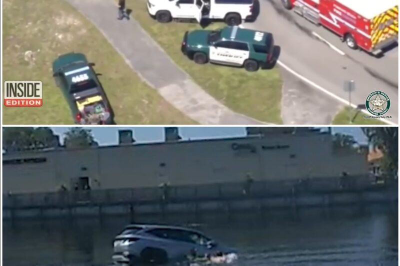 The Secret Fight For Survival: Trapped Motorist Plunges Into Deep Pompano Beach Water As Car Rapidly Submerges