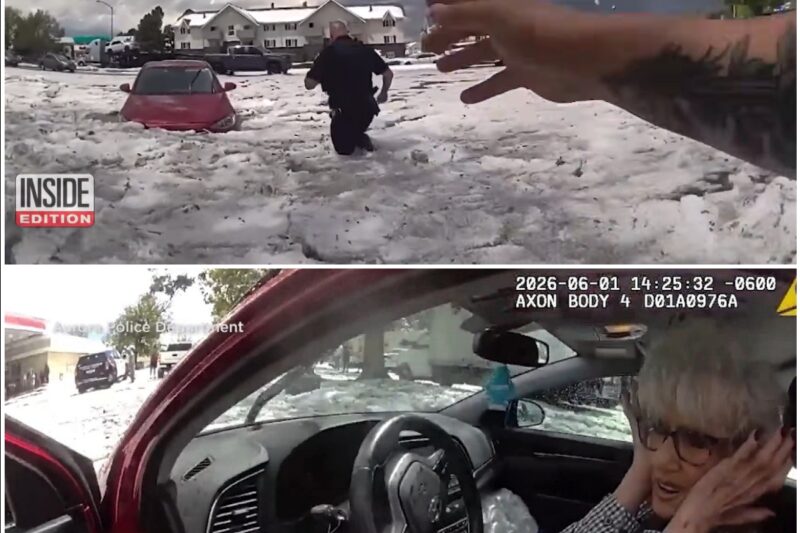 “Don’t Let Go!” Officers Form Human Chain To Drag Elena Vance From Submerging Vehicle